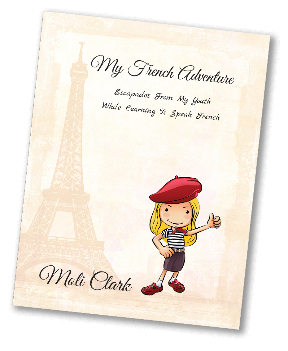 My French Adventure Book